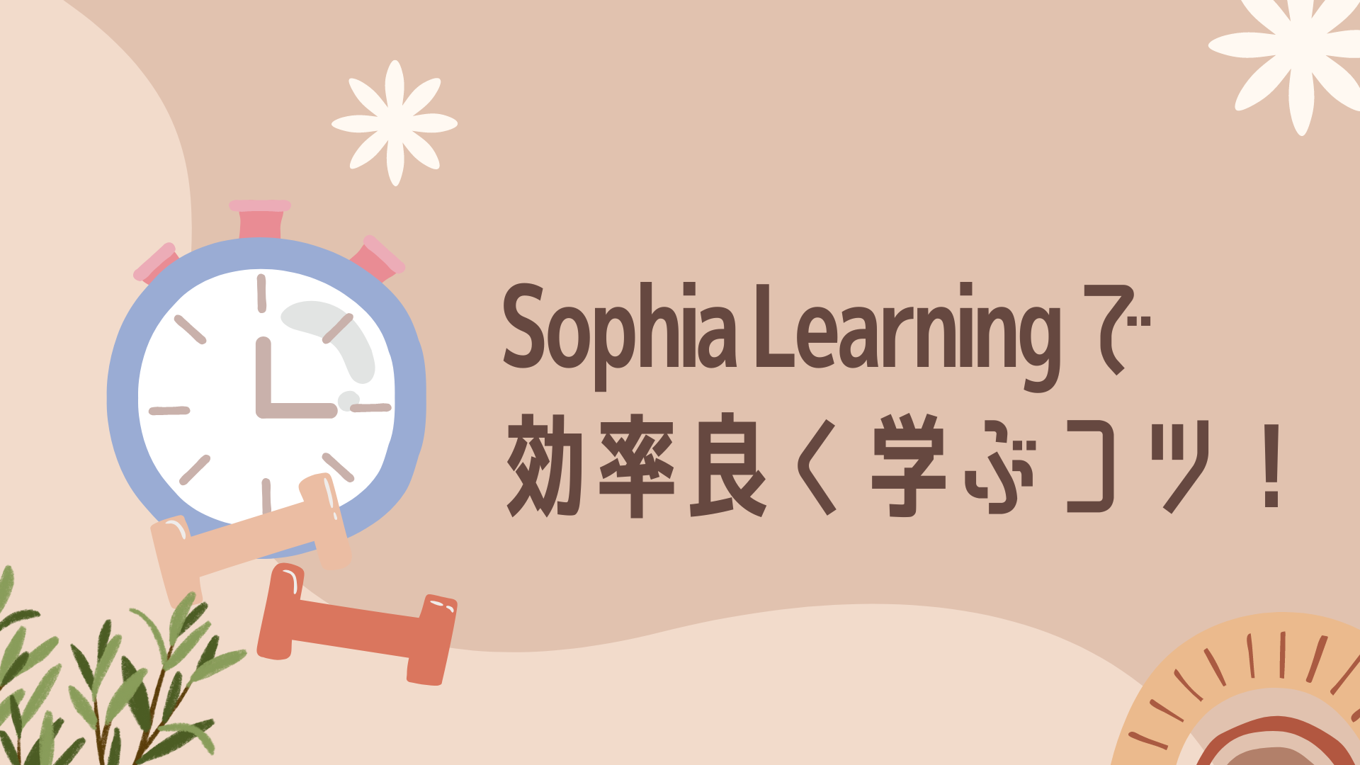 Sophia Learningの攻略法：効率良く学ぶコツ！