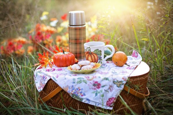 autumn tea fall picnic drink 4579561