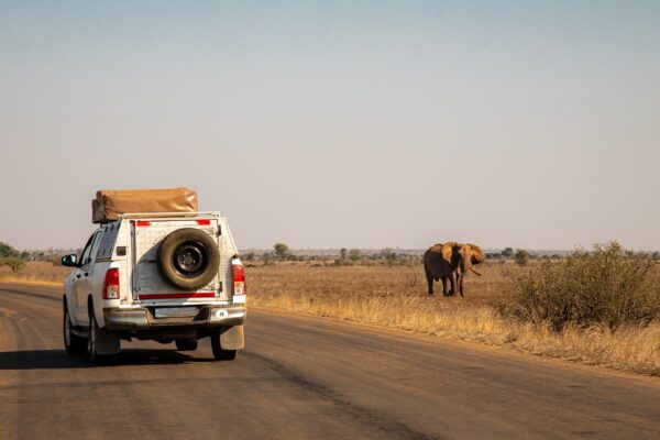 safari jeep tour national park 4700423
