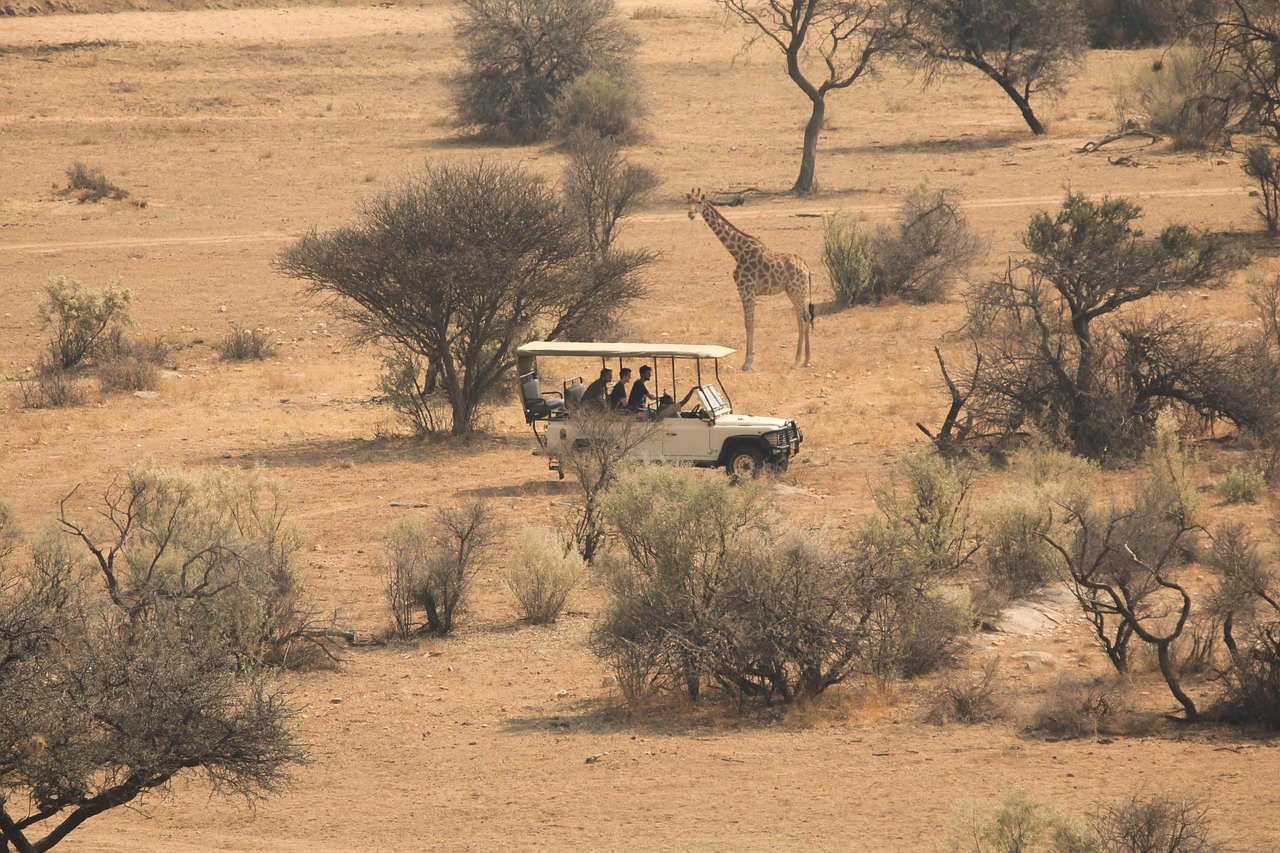 savannah africa safari tour trip 8079856