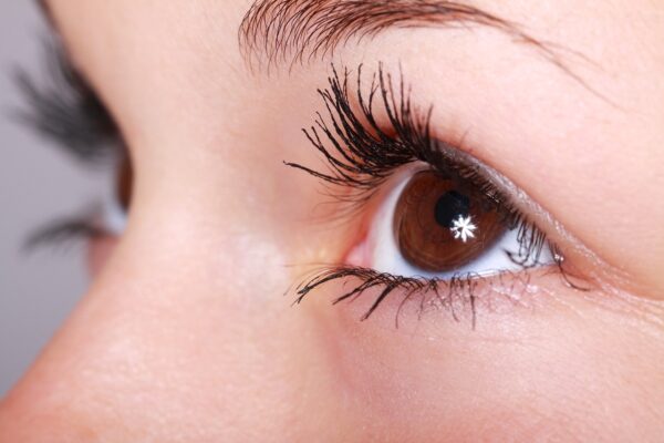 woman beauty eyelashes eye makeup 2315