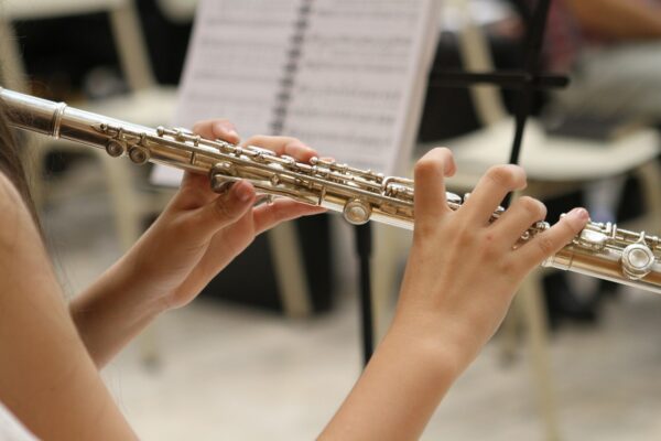 music jazz flute musician 3090204