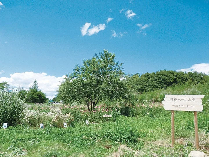 Granja de hierbas de chant a charm en Akeno