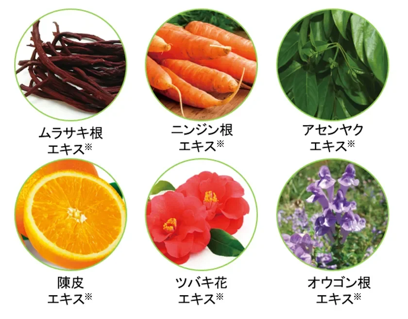 Seis tipos de extractos de plantas medicinales japonesas