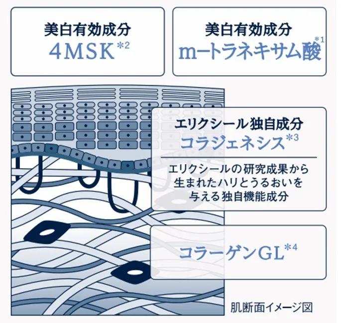 Diagrama de ingredientes de Elixir Lotion