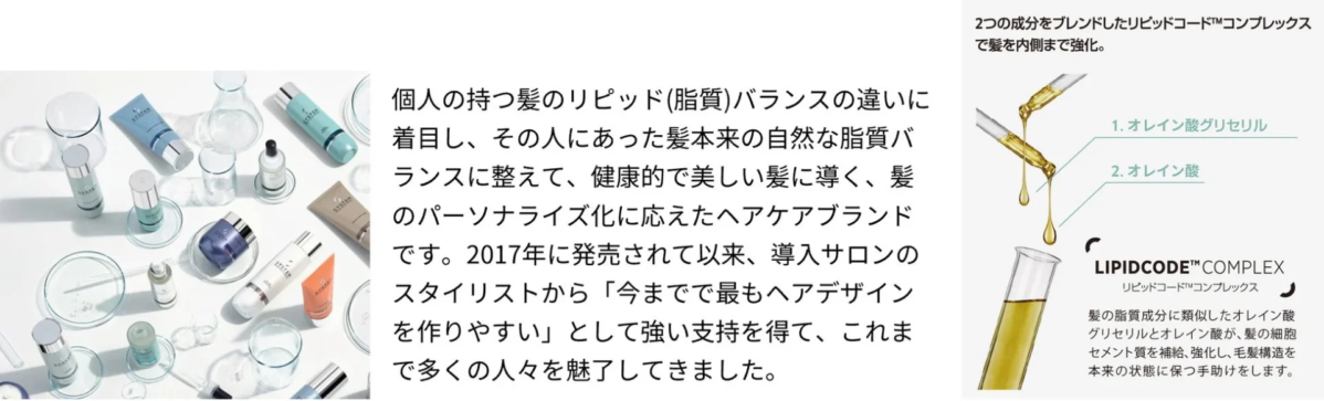 Concepto de SYSTEM PROFESSIONAL