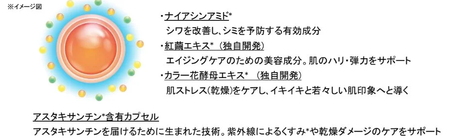 OMNI SHOT4 Ingredientes