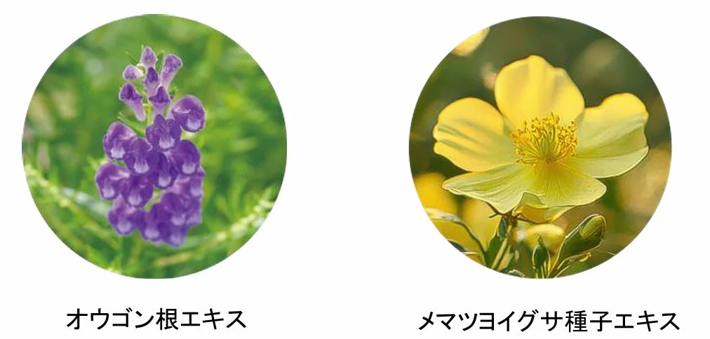 Ingredientes especiales