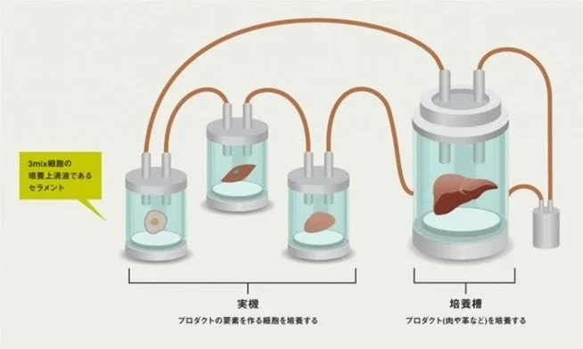 Diagrama del sistema de cultivo de c&eacute;lulas