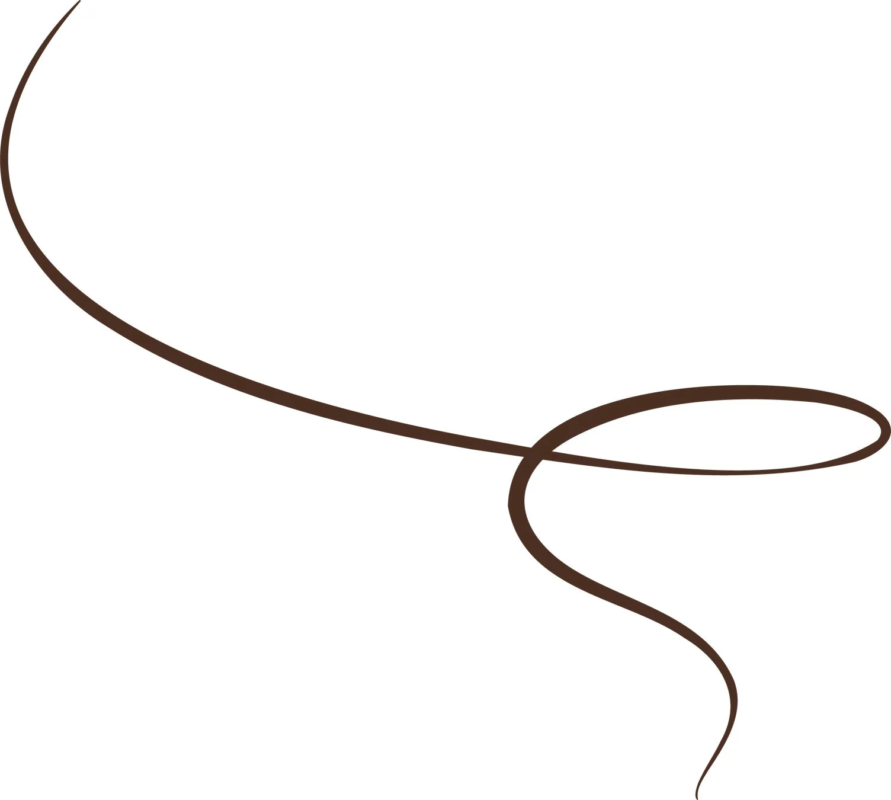 Color Marr&oacute;n Negro