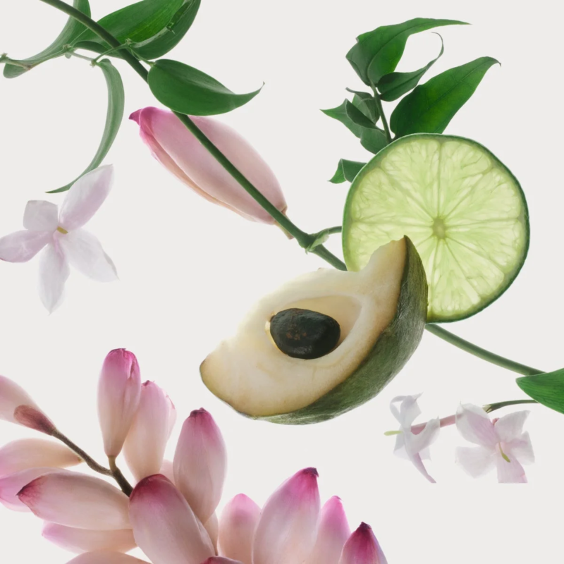 Okinawa Cell Essence Complex ingredients