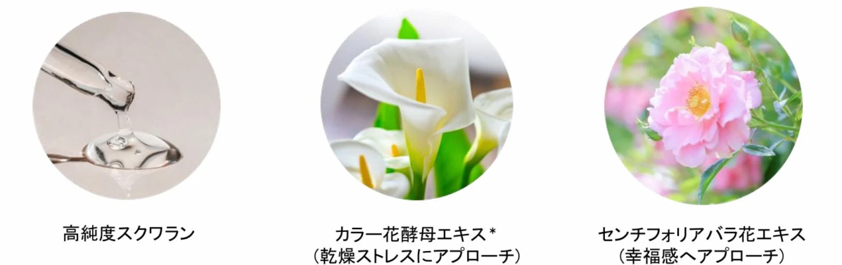 Ingredientes comunes