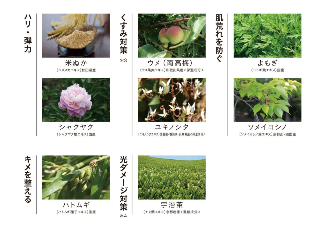 Ingredientes de belleza japoneses para UV Pressed Powder