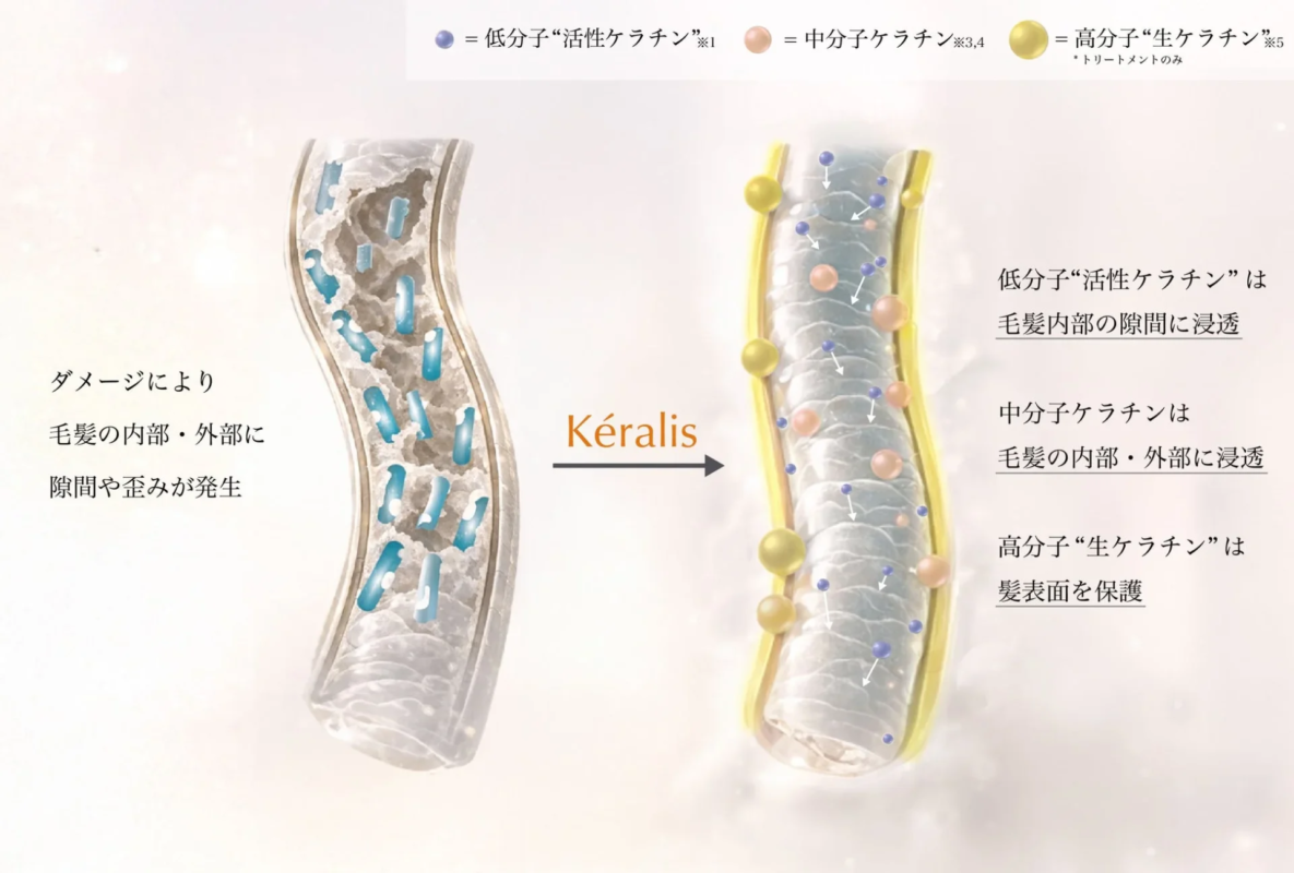 Mecanismo de Reparación con Queratina Kéralis