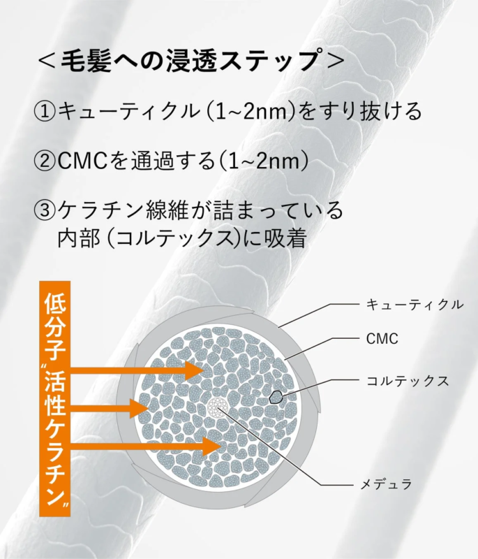 Penetración de Queratina en el Cabello