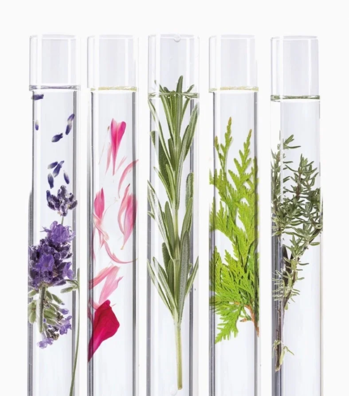 Plantas en tubos de ensayo