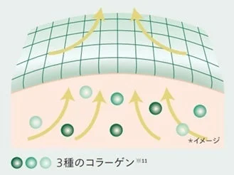 Col&aacute;geno en la piel
