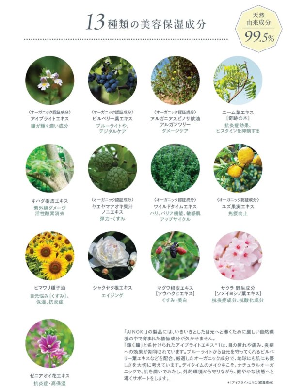 AINOKI Eye Palette ingredientes