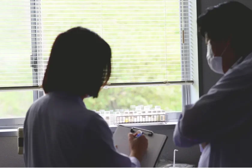 Investigaci&oacute;n y Desarrollo