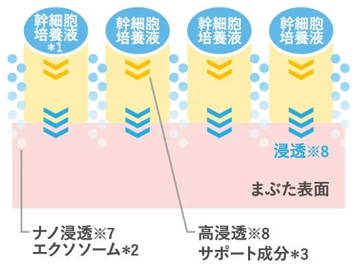 Diagrama de penetraci&oacute;n de c&eacute;lulas madre