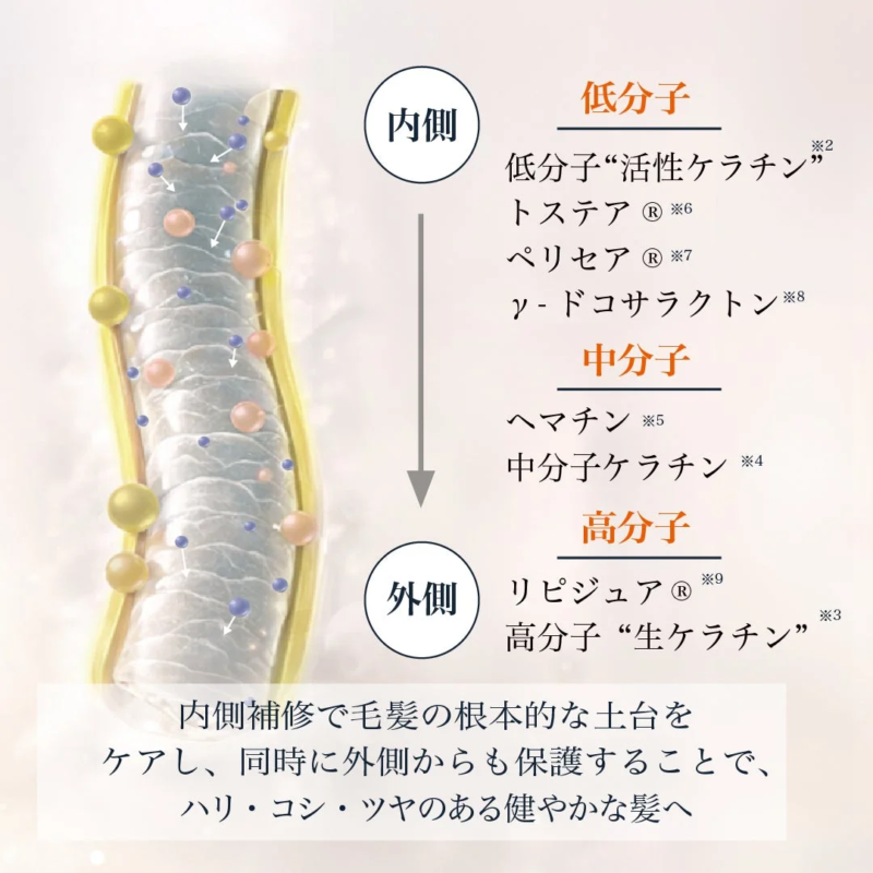 Mecanismo de reparaci&oacute;n multicapa del tratamiento capilar