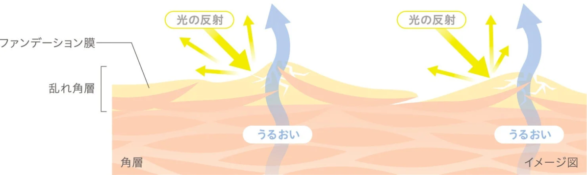 Imagen de Estrato Córneo Desordenado