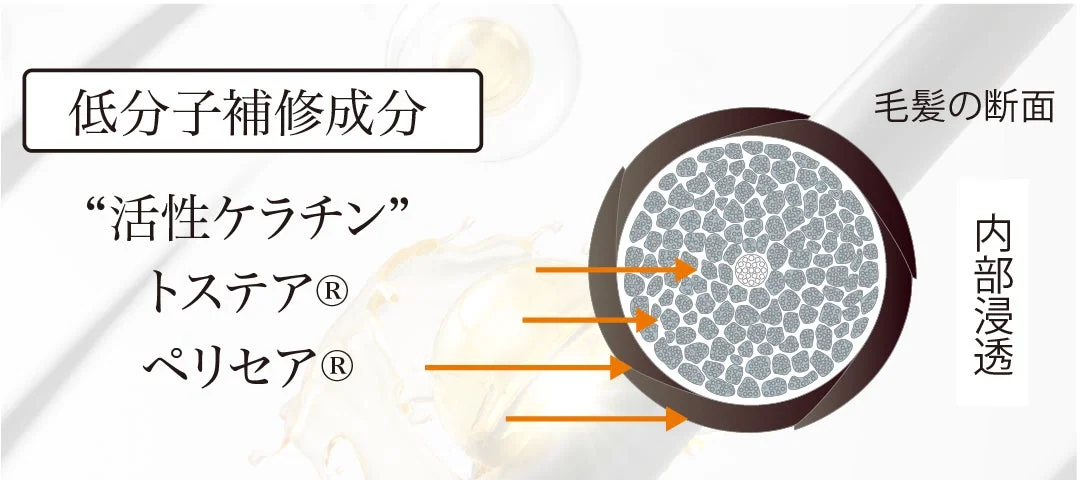 Componentes reparadores de bajo peso molecular en el cabello