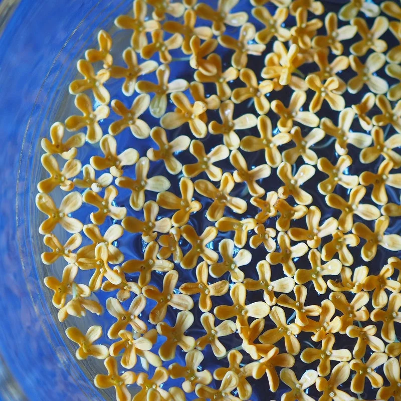 Flores de osmanto flotando en agua azul