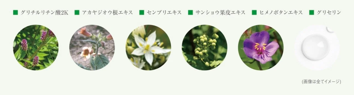 Ingredientes Bot&aacute;nico Essence CP-IVS 1'