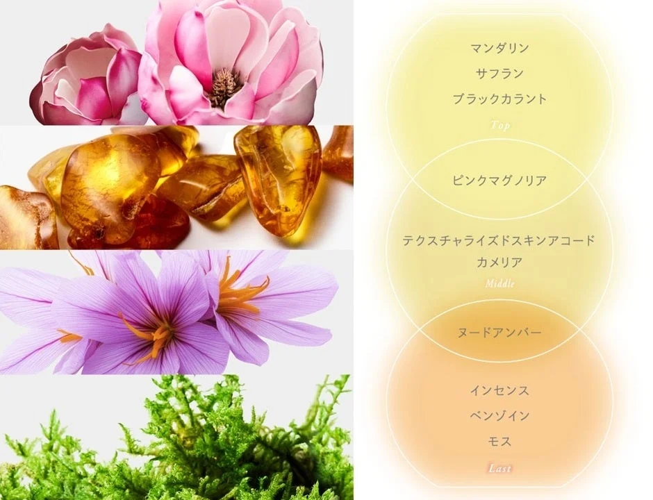 Notas de Mellow Amber