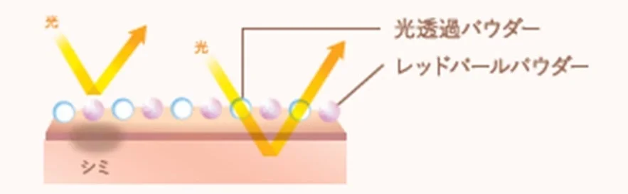 Mecanismo de Polvos para Cubrir Imperfecciones