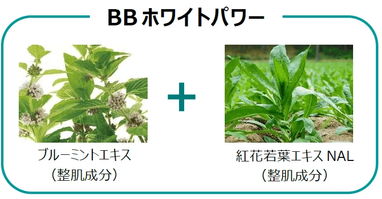 Ingredientes de BB White Power