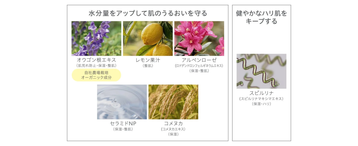 Ingredientes para el cuidado de la piel de los Polvos UV