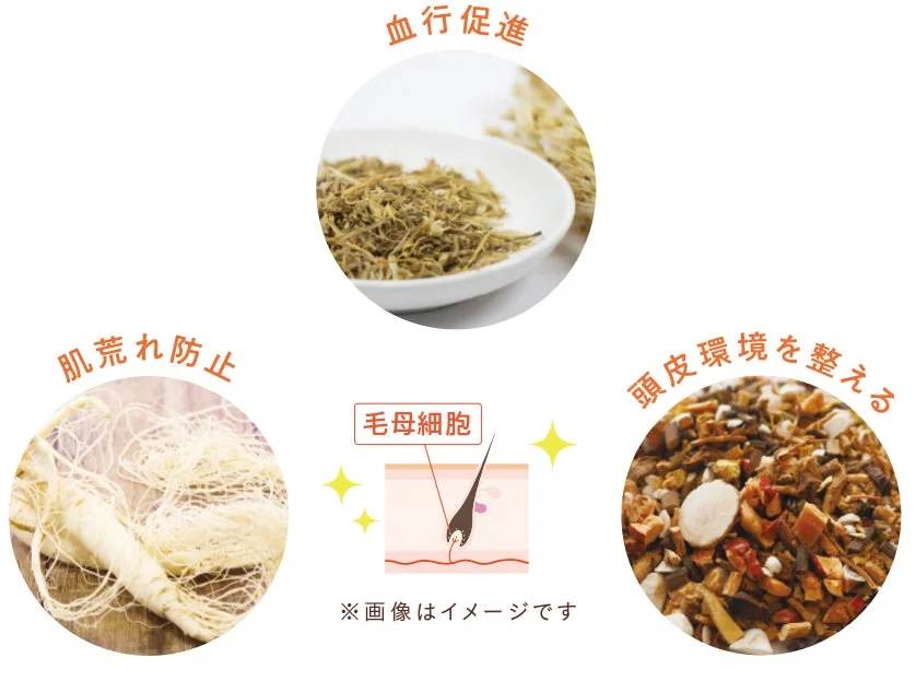 Ingredientes activos