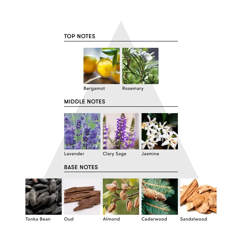 Notas de fragancia THE SECRET HISTORY