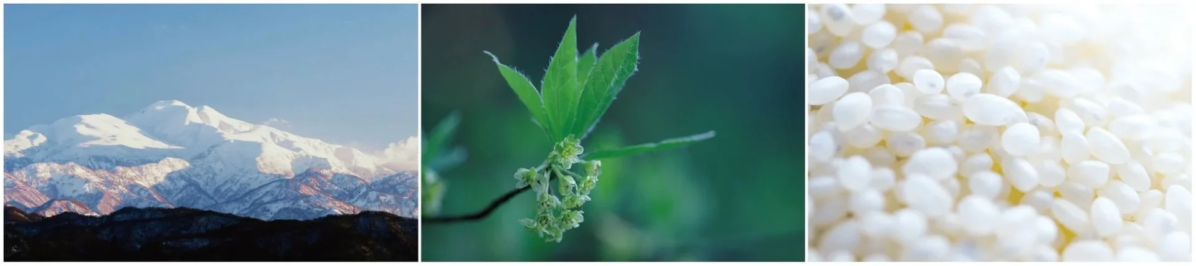 Imagen de la naturaleza que inspira el aroma