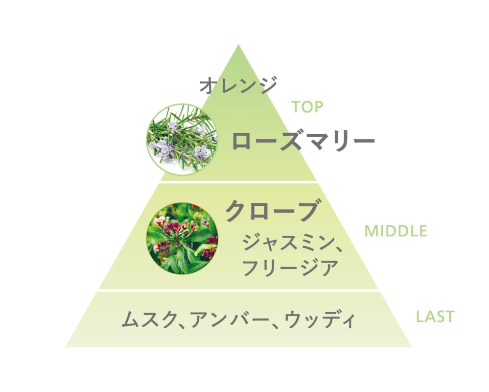 Pirámide olfativa de la fragancia