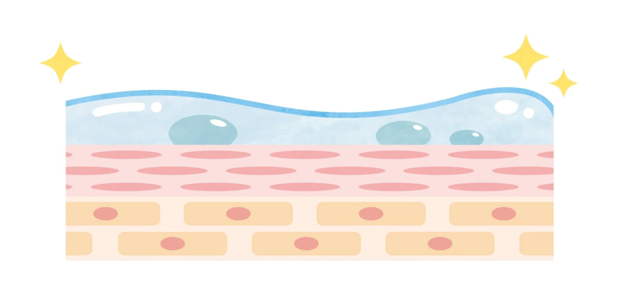 Ilustraci&oacute;n de la piel hidratada