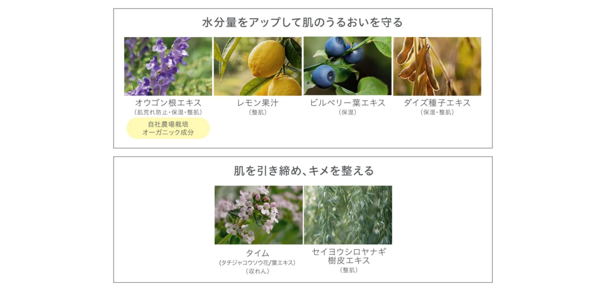 Ingredientes para el cuidado de la piel de la Base UV