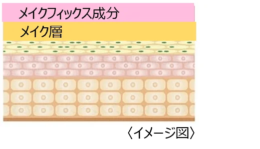 Imagen conceptual de la capa de maquillaje fijada por los ingredientes