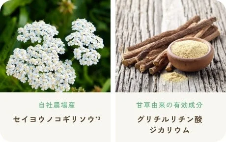 Ingredientes de hierbas y regaliz