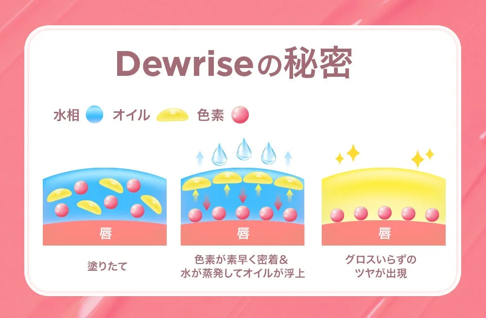 Diagrama de la tecnolog&iacute;a Dewrise&trade;