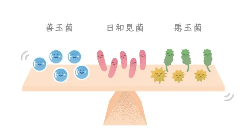 Balance de la microbiota cut&aacute;nea