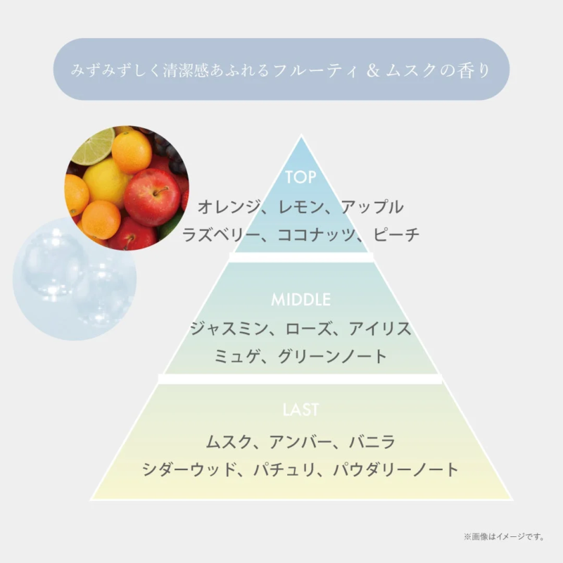 Notas de la fragancia