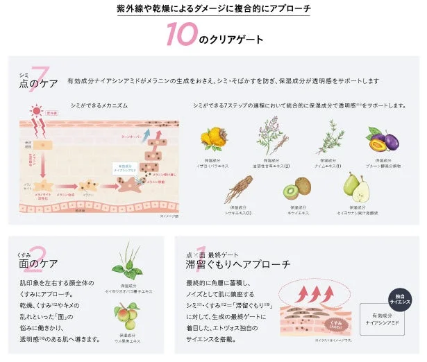 Diagrama de 10 puertas claras