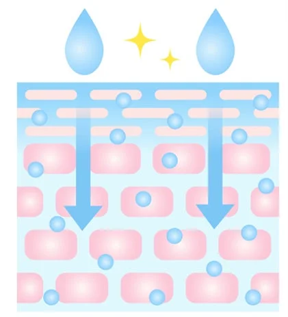Ilustraci&oacute;n de la penetraci&oacute;n de la hidrataci&oacute;n en la piel