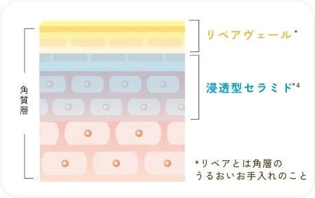 Estructura de la piel con Repair Veil y ceramidas