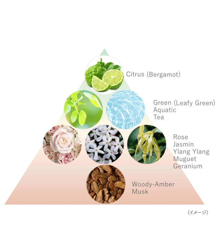 Pir&aacute;mide olfativa del perfume