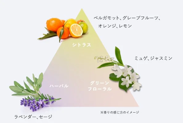 Aroma de c&iacute;tricos y hierbas florales