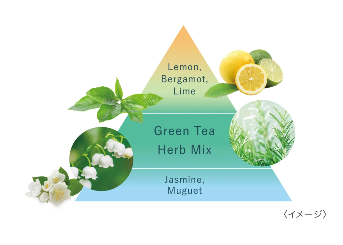 Pir&aacute;mide olfativa